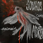 sonhos com animais mortos