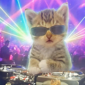 Better Off Bass Slut