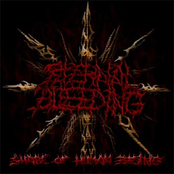 Shape Of Human Being