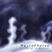 Partial Melt by Necrophorus
