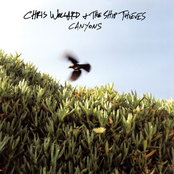 Never Have Time by Chris Wollard & The Ship Thieves