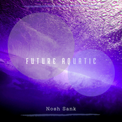 Future Aquatic