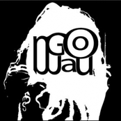 ngomau {recentworks}