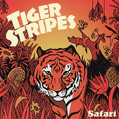 Spacious Mind by Tiger Stripes