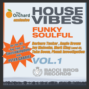 House Vibes Funky Soulful, Vol. 1