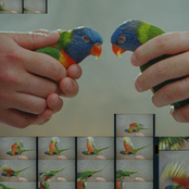 Conversations that Hurt