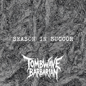 Season In Succor