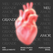 Meu Grande Amor (Ao Vivo)