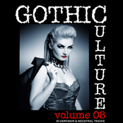 Gothic Culture Vol. 8 - 20 Darkwave & Industrial Tracks