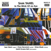 Yahel, Sam: In the Blink of an Eye