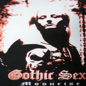 Voodoo Dolly by Gothic Sex