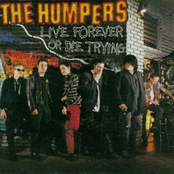 Loser's Club by The Humpers