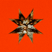 YHWH Nailgun: Castrato Raw (Fullback)