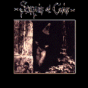 Wie der unberuhrte traum einer jungfrau