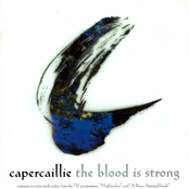 Arrival Reprise by Capercaillie