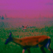 There Is Always Something to Worry About