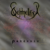 Pandemic