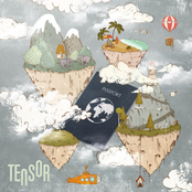 Tensor: Passport