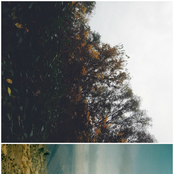 From James' Garden / Ashame