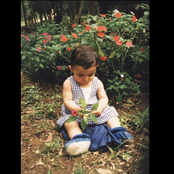 Eu gosto de ver a tartaruga