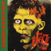 Misguided Memories by The Freeze