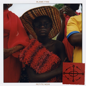 Petite Noir: Blame Fire