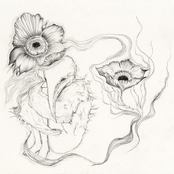 Will I Be Hearing From You?