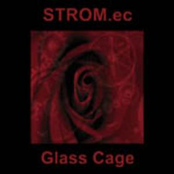 Glass Cage