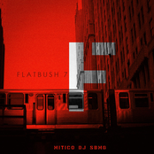 Flatbush 7