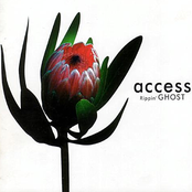 Another Day by Access