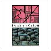 Body Section