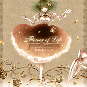 "Flower of Life" The best selection 2008-2011