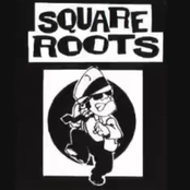 Square Roots