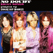 NO DOUBT -Ziggy Songs-