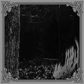 A Chase in the Night