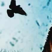 Arcadia Grey: Her name engraved