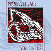 My Velvet Cage - A Tribute to Venus in Furs