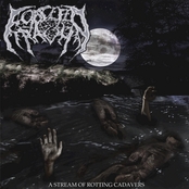 A Stream Of Rotting Cadavers by Force Fed Trauma