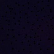 That little gray feeling in the bat hroom ( cry )