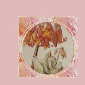 Flores, Labios, Dedos