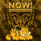 NOW! Thats What I Call Hemorrhoids!!