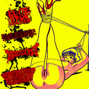 ExDx / D.E.F.A.M.E / DxCx / GxMxCx split