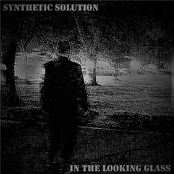 In the Looking Glass