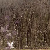 Premiére fois, Or so i thought