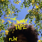 "the sunny tape"