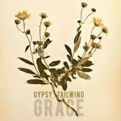 Barrel by Gypsy Tailwind