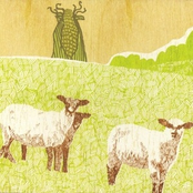 On Plastic [mpls ltd, mpls ltd 007]