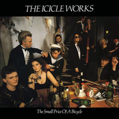 Conscience Of Kings by The Icicle Works