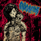 Grind Insides - Season II