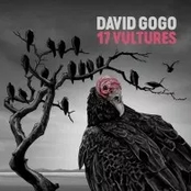 David Gogo: 17 Vultures